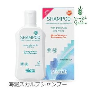 アルジタル シャンプー オーガニック スキャルプシャンプー 250ml 無添加 ヘアケア 石澤研究所 低刺激 ノンシリコン｜mugigokoro-y