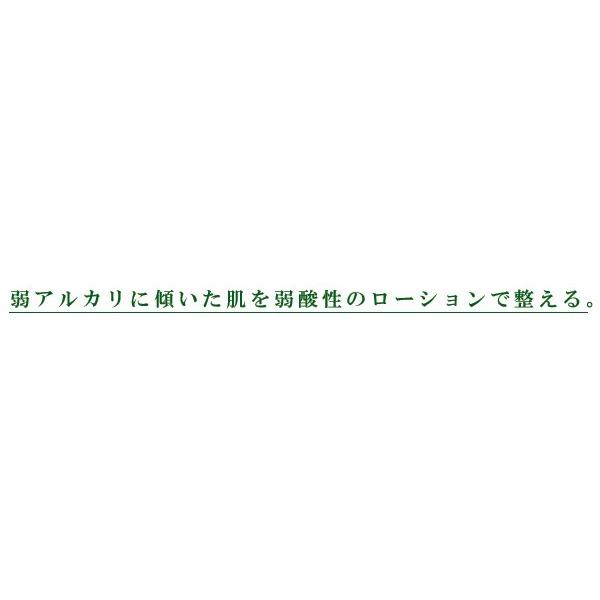 グローバルビューティー 化粧水 無添加 スキンローション 120ml オーガニック スキンケア ローション 弱酸性 スプレー 天然 ナチュラル ノンケミカル 自然｜mugigokoro-y｜03