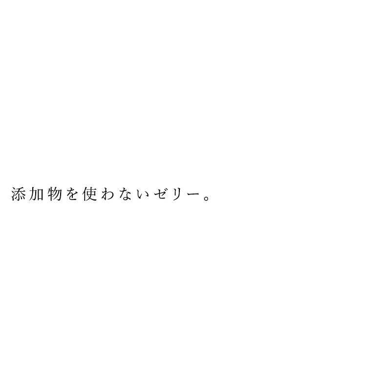 ゼリー ノースカラーズ 純国産ゼリー 11個 購入金額別特典あり 正規品 国内産 化学調味料不使用 無添加 ナチュラル 天然｜mugigokoro-y｜02