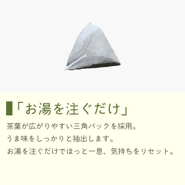 深蒸煎茶 ティーバッグ ボトルにイン 2ｇ×12P メール便  ティーパック 深蒸し煎茶 日本茶 茶葉 お茶 緑茶 せんちゃ お茶パック | 六車農園 | 01