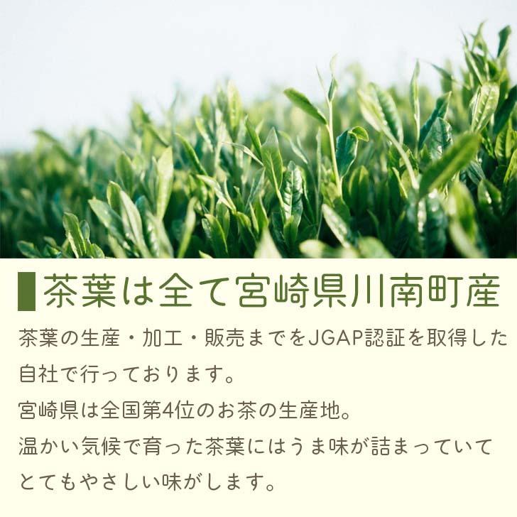 深蒸煎茶 ティーバッグ ボトルにイン 2ｇ×12P メール便  ティーパック 深蒸し煎茶 日本茶 茶葉 お茶 緑茶 せんちゃ お茶パック | 六車農園 | 04