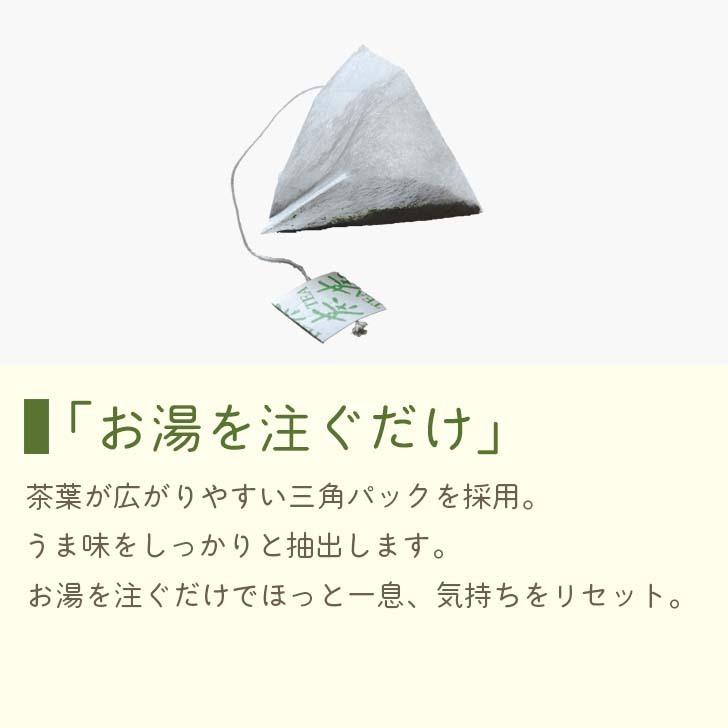 かぶせ茶 深蒸煎茶 ティーバッグ 2g×20P さえみどり メール便 六車農園 ティーパック 深蒸し煎茶 日本茶 茶葉 お茶 緑茶 せんちゃ お茶パック | 六車農園 | 01