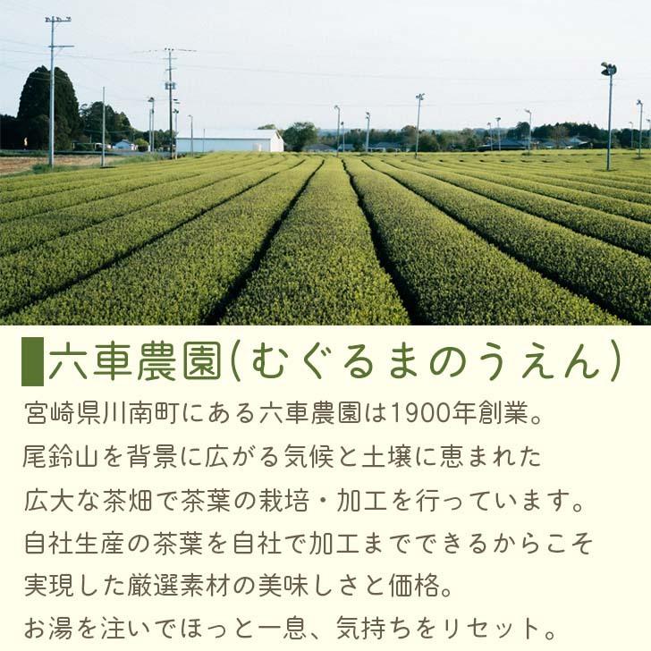 かぶせ茶 深蒸煎茶 ティーバッグ 2g×20P さえみどり メール便 六車農園 ティーパック 深蒸し煎茶 日本茶 茶葉 お茶 緑茶 せんちゃ お茶パック | 六車農園 | 10