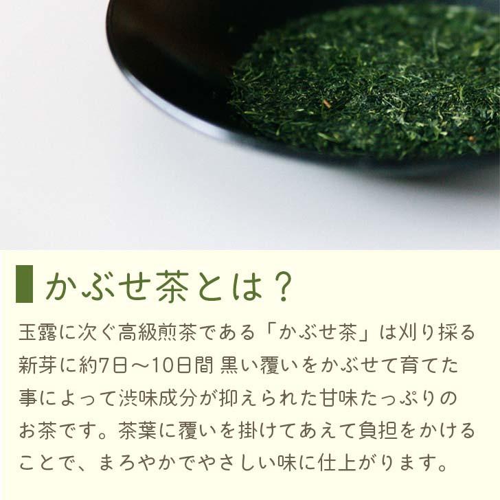かぶせ茶 深蒸煎茶 ティーバッグ 2g×20P さえみどり メール便 六車農園 ティーパック 深蒸し煎茶 日本茶 茶葉 お茶 緑茶 せんちゃ お茶パック | 六車農園 | 02