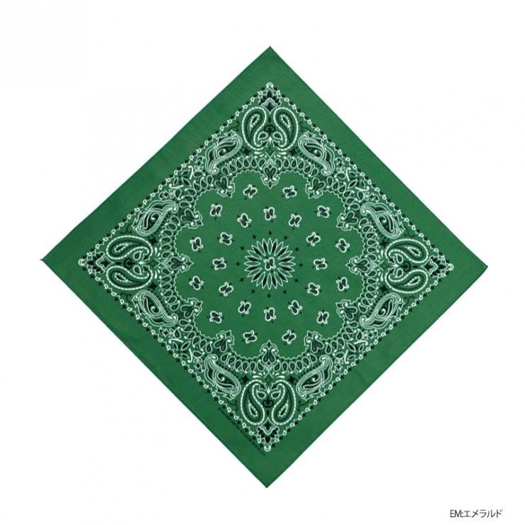 HAV-A-HANK（ハバハンク） バンダナ ペイズリー柄 メンズ レディース