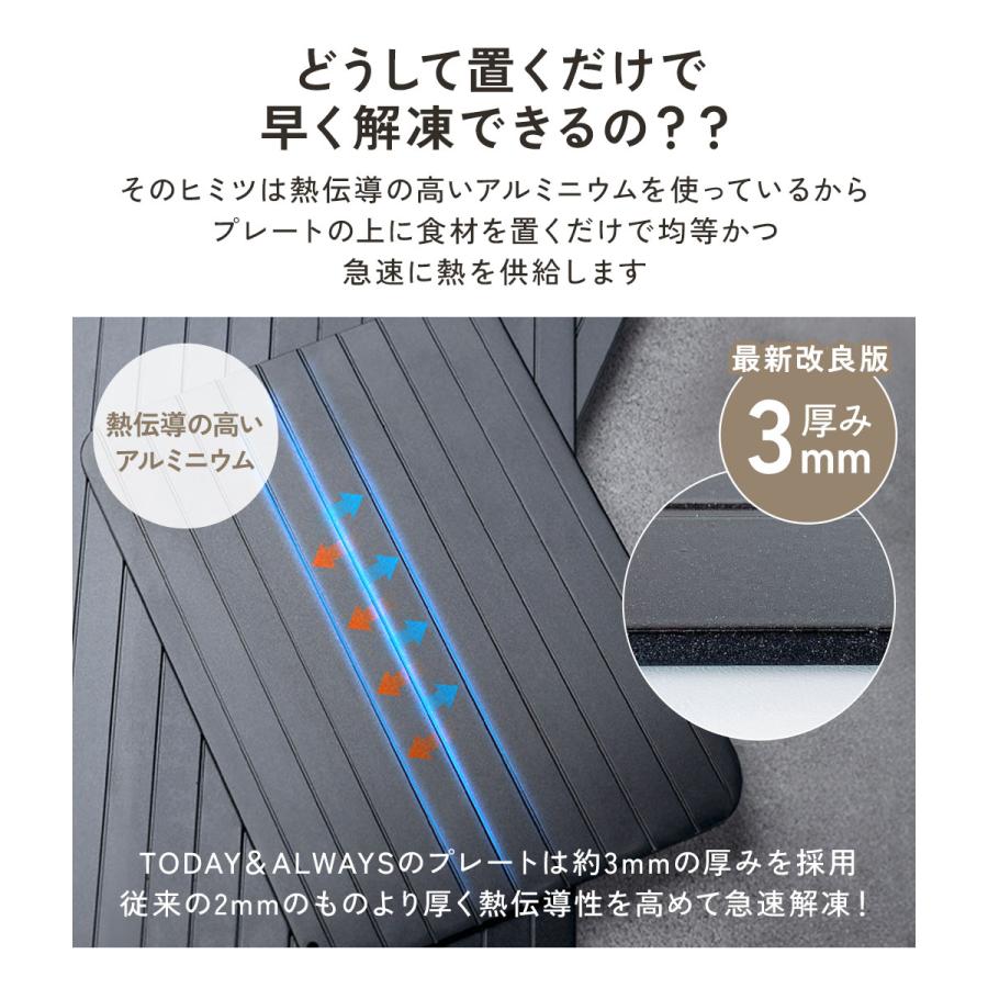 Lサイズ】解凍プレート 解凍 まな板 急速解凍 プレート 時短
