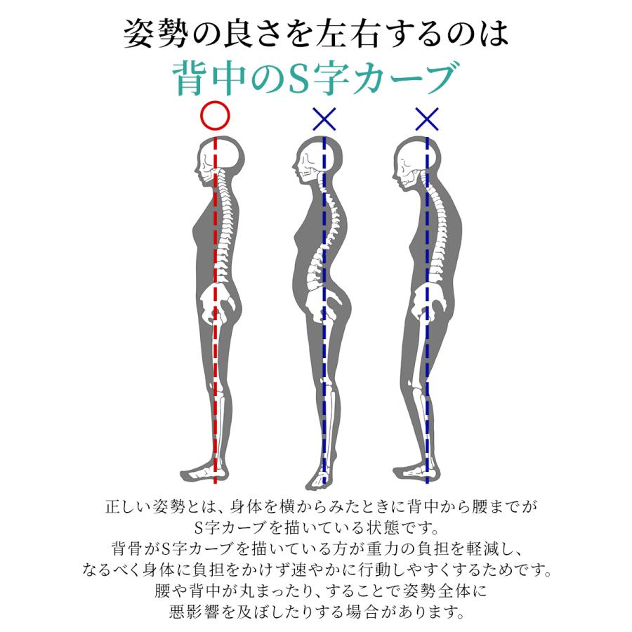 安価 姿勢矯正コルセット コルセット 猫背 猫背矯正 ボディメイク 産後ケア くびれ むくみ改善 むくみ予防 腰痛 Aynaelda Com
