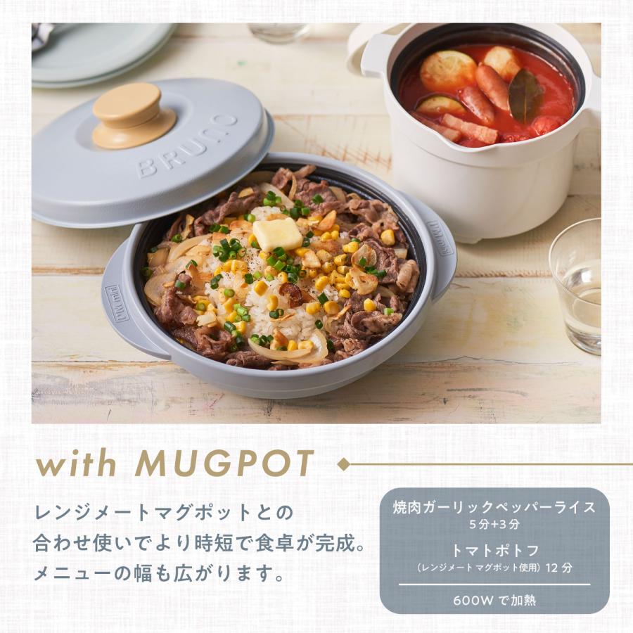 2個セット BRUNO監修 レンジメート プロ バイ ブルーノ RANGEMATE PRO by BRUNO 電子レンジ専用調理器具 レシピ付き レンジで焼き魚 送料無料 ポイント消化の画像