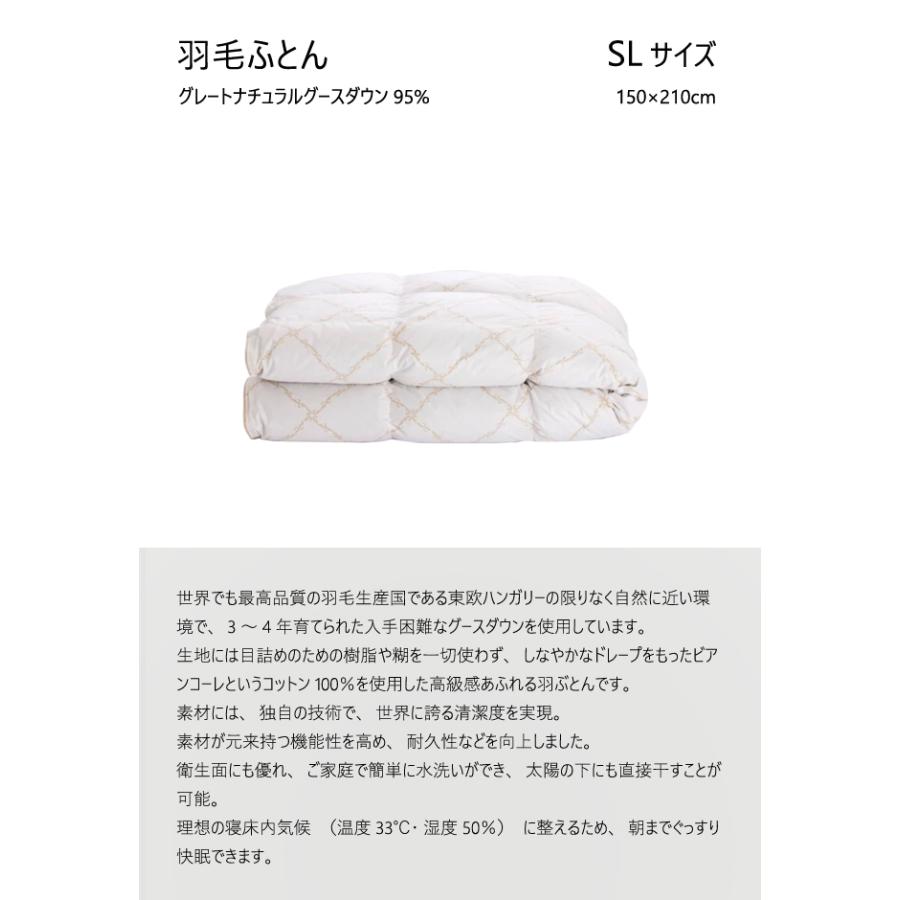 イワタ 羽ふとん 羽毛ふとん SL グレートナチュラルグース ダウン95% シングル DE-QM98-903 掛け寝具 ふとん 日干し 水洗い ベッド 羽毛布団 IWATA_1