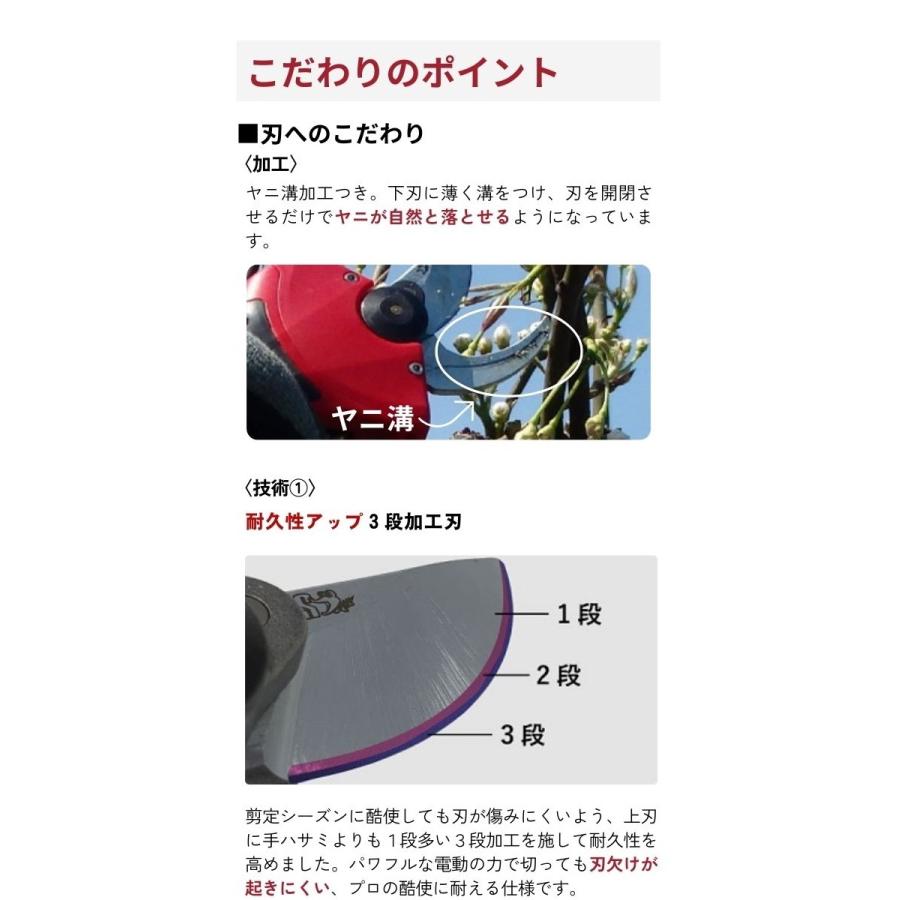 ARS (アルス) コードレス充電式剪定鋏 EP-720 切断能力 φ25mm 枝すべり防止研磨 3段加工刃 園芸用はさみ 剪定はさみ 剪定ばさみ 電動_6