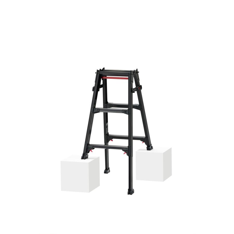 あいぽこ様用 c長谷川潔の500部限定作品 「コップに挿した種草」本物保証 長谷川工業 (ハセガワ) RYZB-09 脚部伸縮式はしご兼用脚立