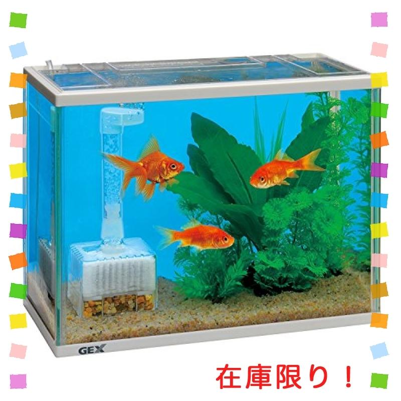 Gex ジェックス 金魚元気水きれいセット