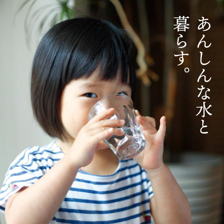 ウィルス除去 マルチピュア Aquaextra 浄水器 ステンレス カウンタートップ EXCT |  | 07