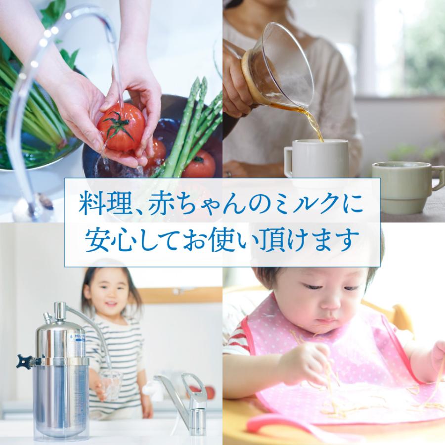 マルチピュア Aquasmart 浄水器 ステンレス カウンタートップ 400CT