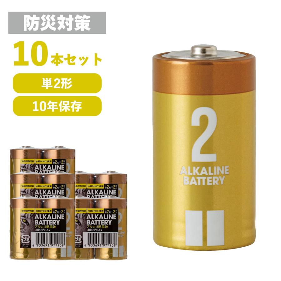 乾電池 単2形 10本セット (2パック×5) アルカリ乾電池 保存10年 単2 単