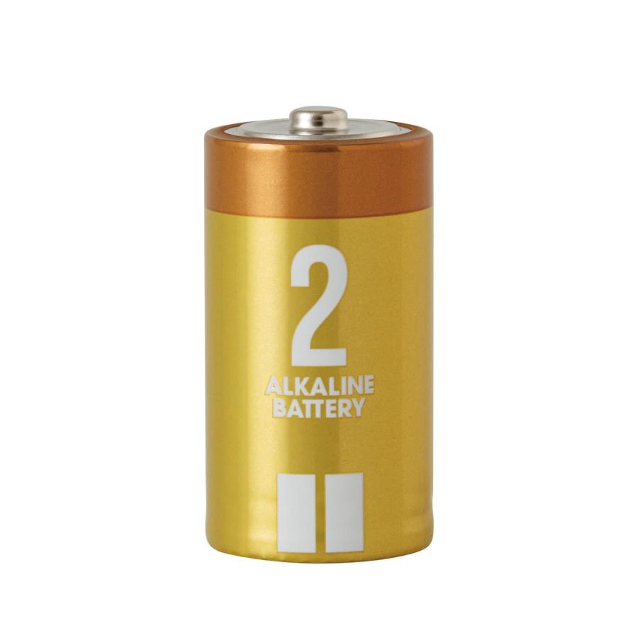 乾電池 単2形 10本セット (2パック×5) アルカリ乾電池 保存10年 単2 単