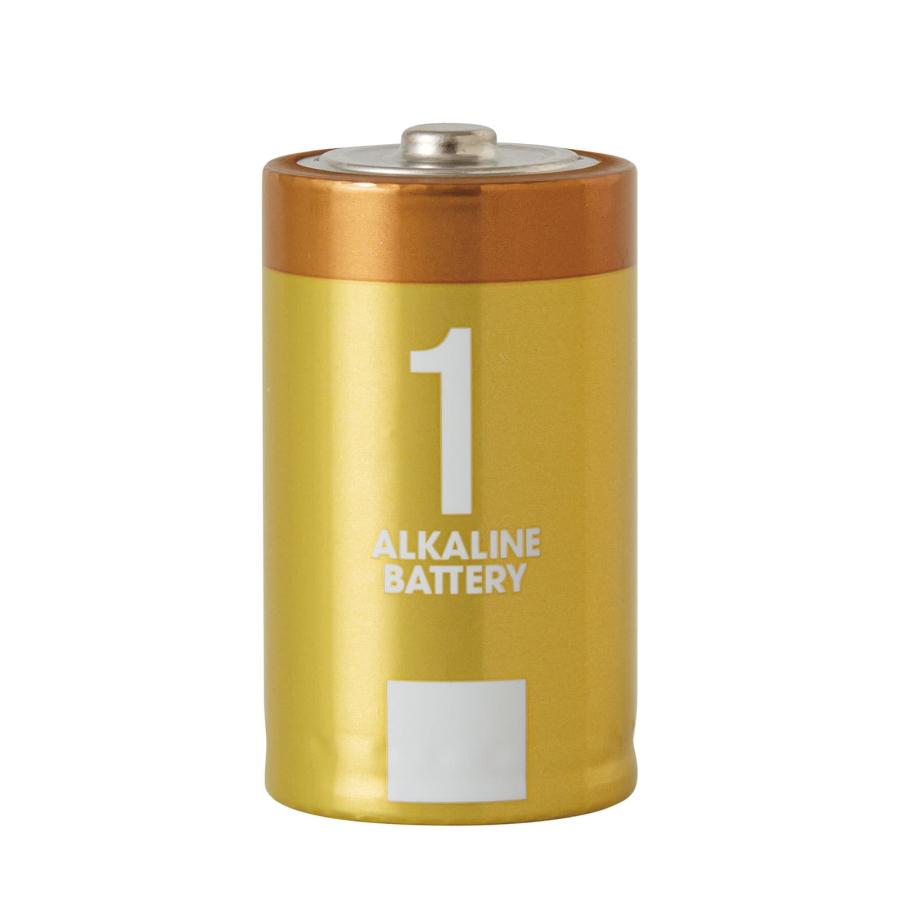 乾電池 単1形 10本セット (2パック×5) アルカリ乾電池 保存10年 単1 単