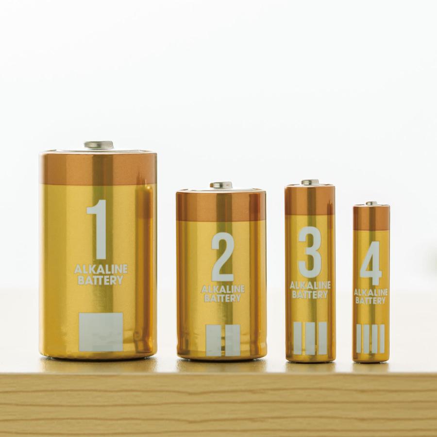 乾電池 単1形 10本セット (2パック×5) アルカリ乾電池 保存10年 単1 単