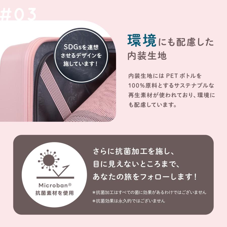 正規品 アメリカンツーリスター スーツケース 機内持ち込み S 正規品 アメリカンツーリスター スーツケース 機内持ち込み S