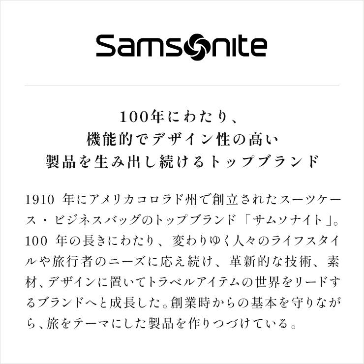 正規品 サムソナイト バッグ バックパック リュック ビジネスバッグ ブリーフケース ビズライン 2WAY メンズ 14インチ 大容量 軽量 A4 PC収納 肩掛け ブランド｜multiverse-irl｜16