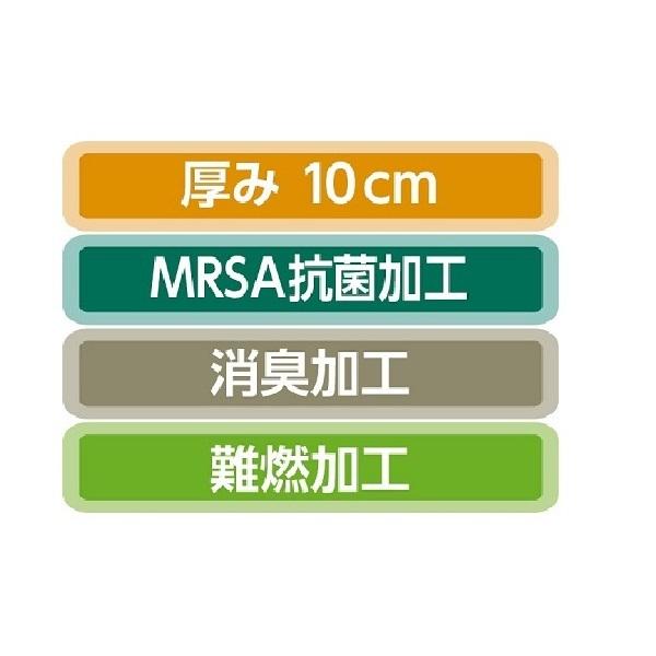 ブランド 介護ベッド パラマウント クオラONE グリップボード 2モーター フィットセット 【DGJ3205458722】(114776円)