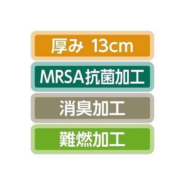 介護ベッド パラマウント 楽匠フィット Xタイプ 3モーター プラウドセット 床ずれ防止の画像