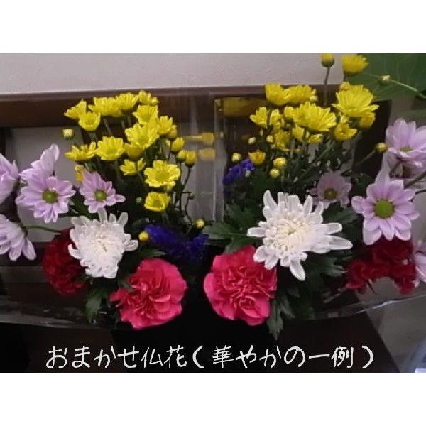 仏花小 1対(同種類の2束セット) 生花 仏花 お墓参り ご仏壇用・お盆・お彼岸 :BO-16m:フラワーブティックマム - 通販 - Yahoo!ショッピング 仏花小 1対(同種類の2束セット) 生花 仏花 お墓参り ご仏壇用・お盆・お彼岸 :BO-16m:フラワーブティックマム - 通販 - Yahoo!ショッピング