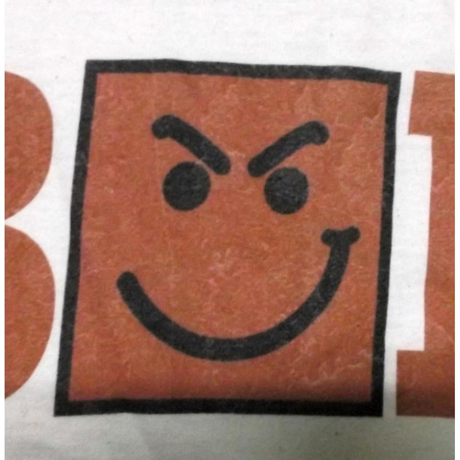 ボン ジョヴィ Tシャツ BON JOVI HAVE A NICE DAY 正規品 : マンブルズ