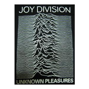 ジョイ ディヴィジョン Tシャツ Joy Division Unknown Pleasures 正規