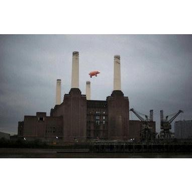 ROCK OFF ピンク フロイド Tシャツ PINK FLOYD 豚 正規品 Pig from