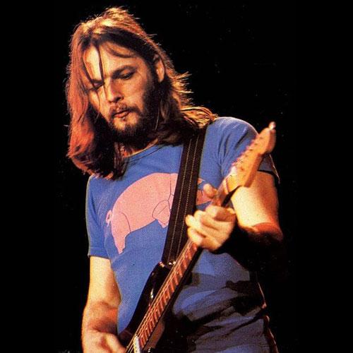 ROCK OFF ピンク フロイド Tシャツ PINK FLOYD 豚 正規品 Pig from