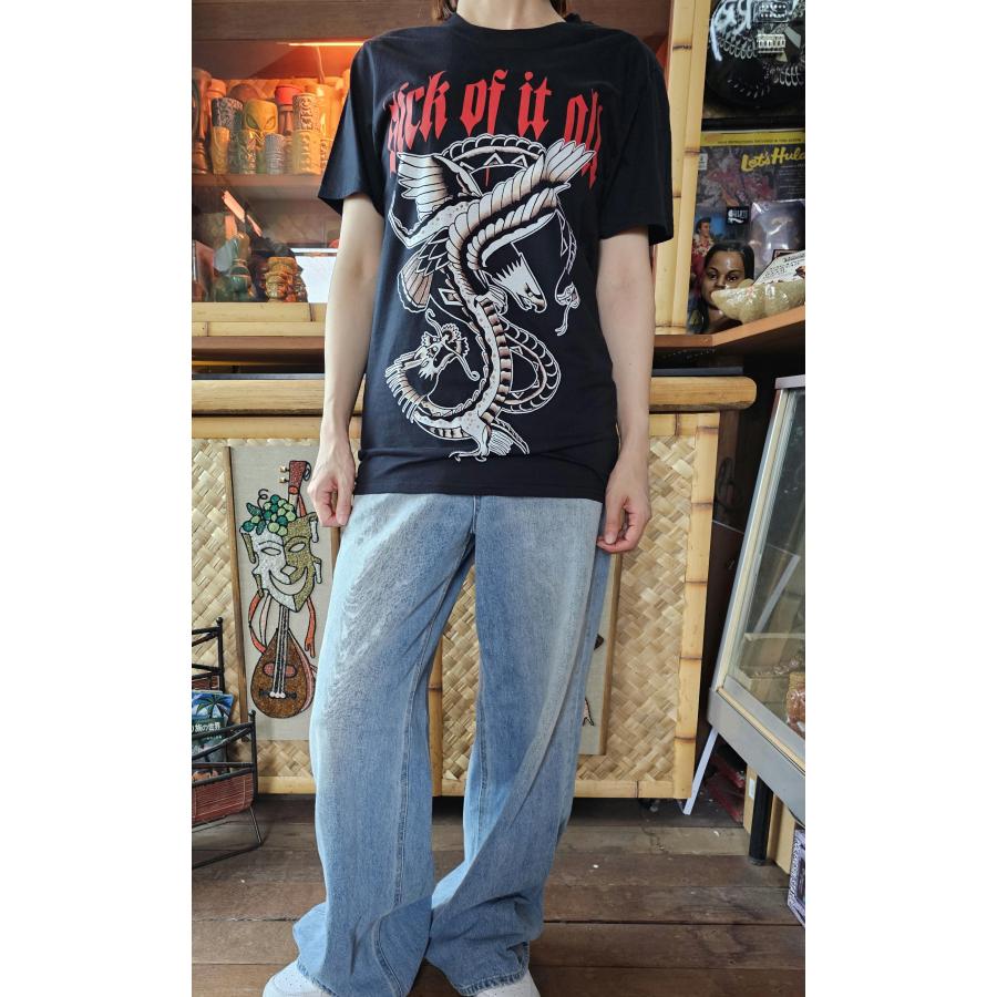 シック オブ イット オール Tシャツ Sick Of It All EAGLE 正規品