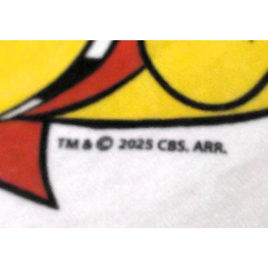 マイティ マウス Tシャツ MIGHTY MOUSE FLYING 正規品 アメリカン