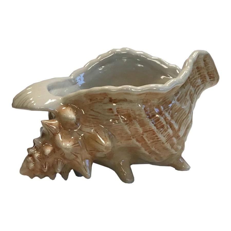 超美品 トレーダー ヴィックス 巻貝 ボウル Conch Bowl Trader Vics シェル Shell ティキマグ 鮑 雑貨 クライマックスセール Valora Cz