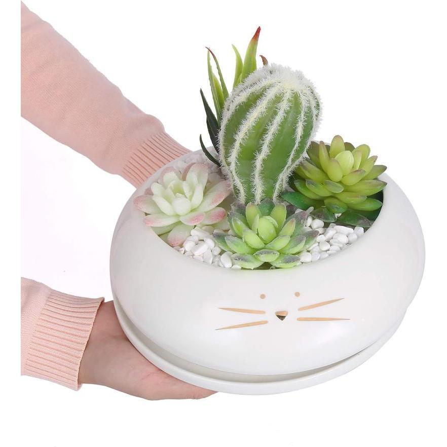 サボテン鉢 多肉植物鉢 陶器鉢 植木鉢 陶器 底穴付き シンプル サボテン鉢 多肉植物鉢 陶器鉢 植木鉢 陶器 底穴付き シンプル