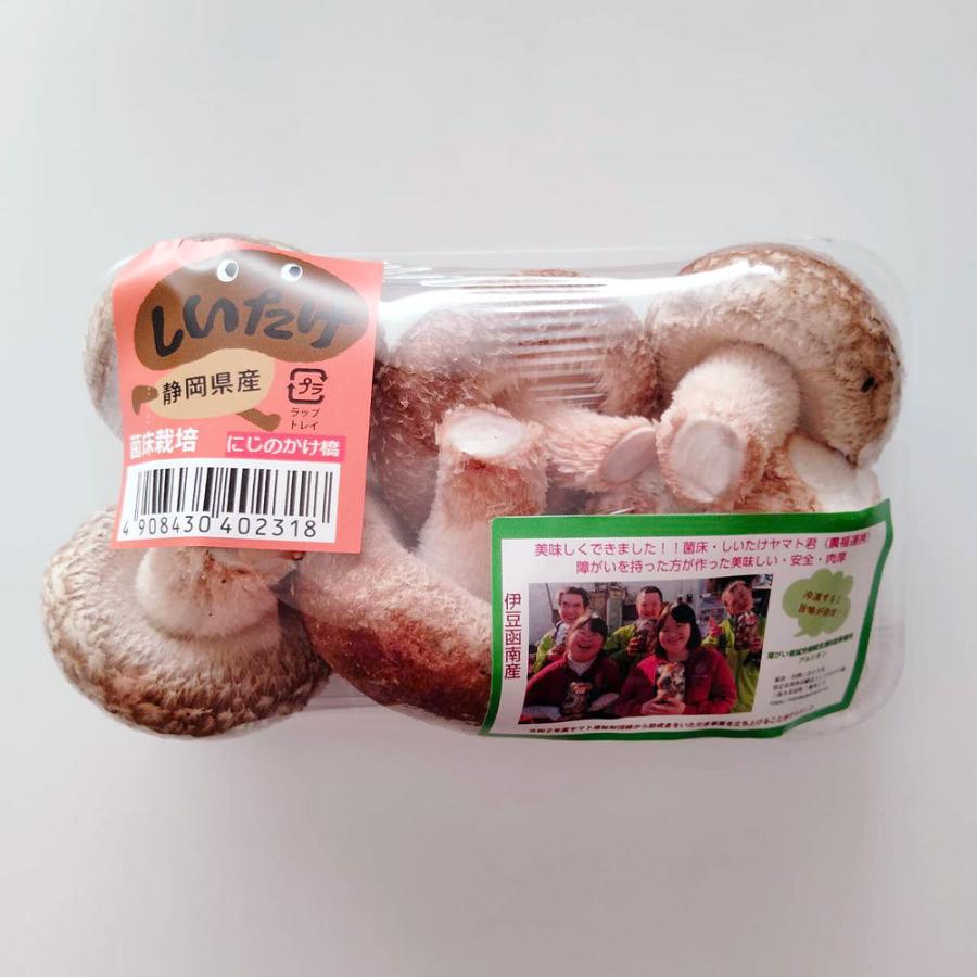 静岡県産 生椎茸 どんこ しいたけ 菌床栽培 A品 L 中粒6つ入り 約110 130g Npo法人にじのかけ橋 Shiitake A L クサガヤ通販 通販 Yahoo ショッピング