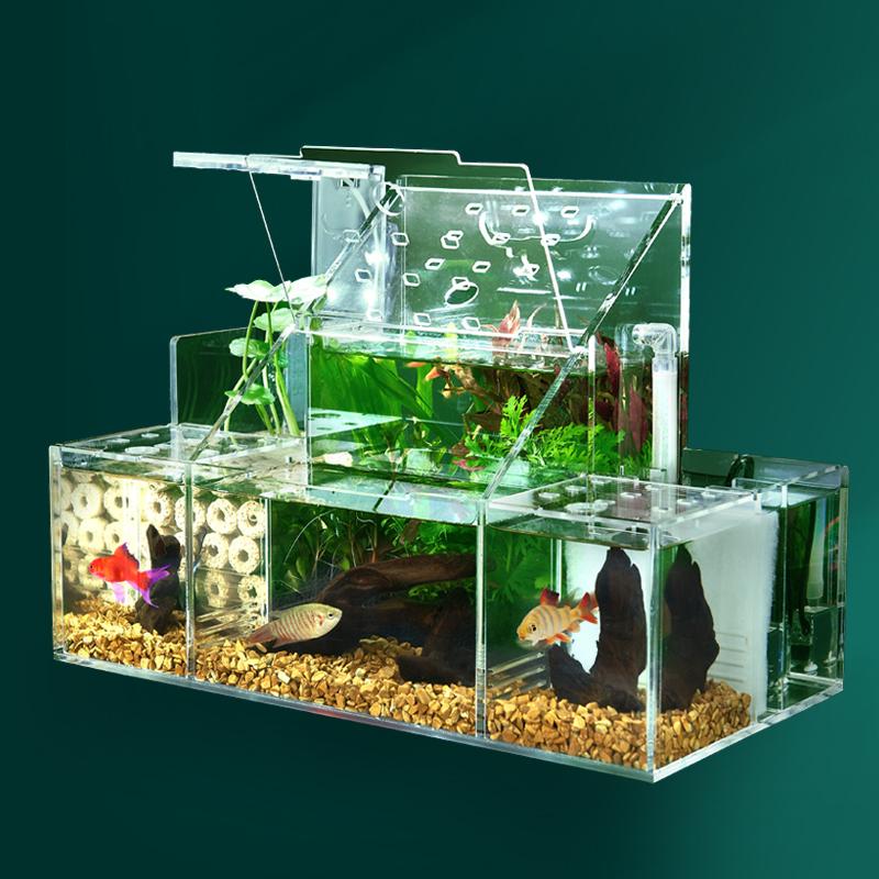 魚 生体 飼育 分離 大サイズ デスクトップ ベタ 水槽 Tttt むっくやふーしょっぷ 通販 Yahoo ショッピング