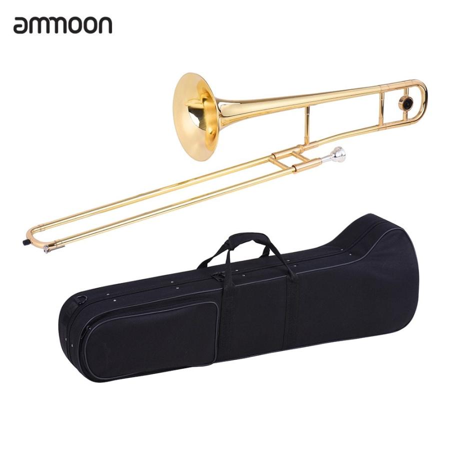 Ammoonテナートロンボーン真鍮ゴールドラッカーbbトーンbフラット管楽器白銅マウスピースクリーニングスティックケース Weddingsatwork Com