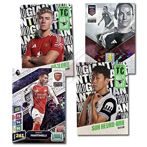 プレミアリーグ ZAS01 PRE21【国内未発売】PANINI STRIKE-IT! 148号 ”Premier League
