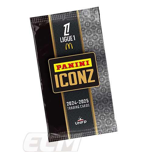 予約FRA20】【国内未発売】PANINI IONZ フランスリーグ 24-25 ボックス