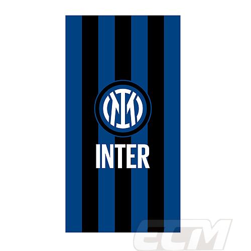 INT05】IN8934282【国内未発売】インテル 公式グッズ バスタオル