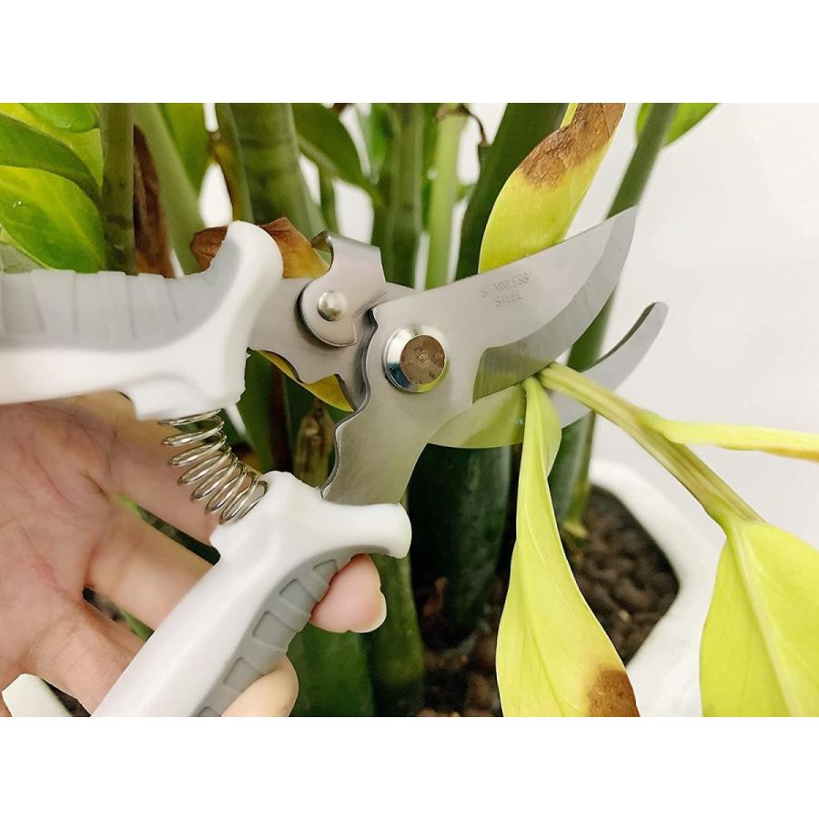 園芸用ばさみ剪定鋏剪定バサミ趣味の園芸用品鉢植えミニ剪定ばさみガーデン刈り込みばさみ炭素鋼花切りバサミ盆栽 ハサミ Sale 91 Off