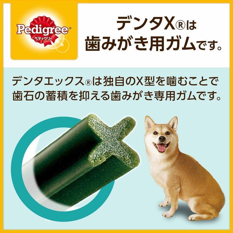 流行に ペディグリー デンタエックス 中 大型犬用 レギュラー ８本入り ドッグフード Shipsctc Org