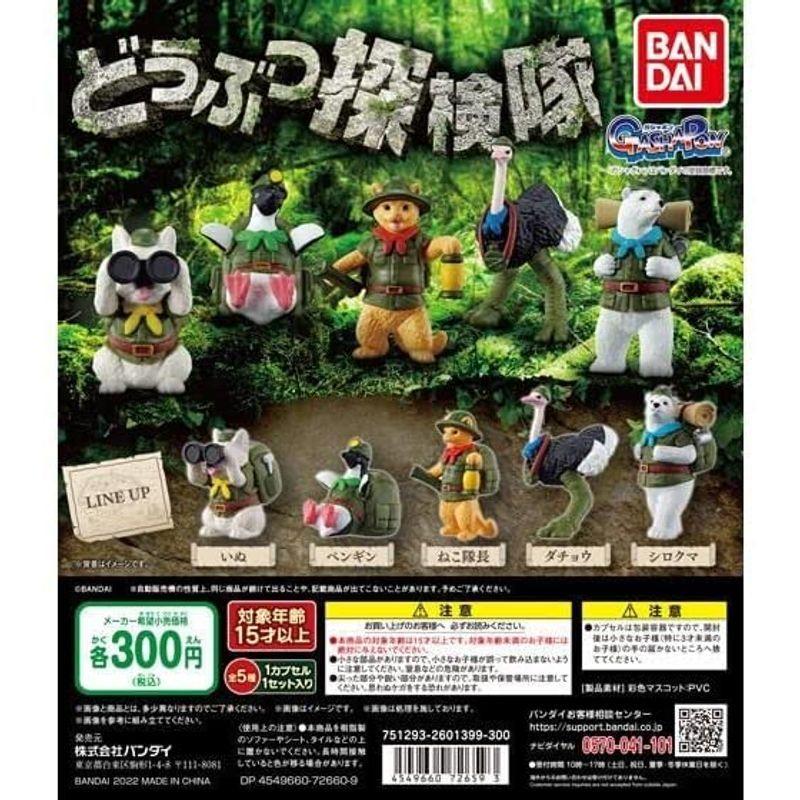 メーカー直売 どうぶつ探検隊 全5種セット ガチャガチャ その他おもちゃ Www We Job Com