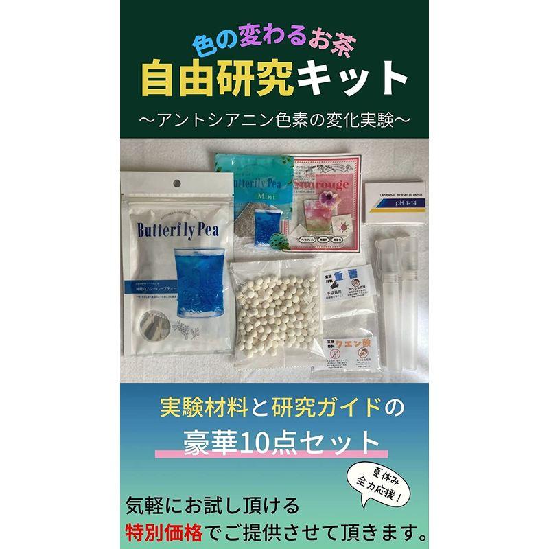 夏休みの自由研究色の変わるお茶 自由研究キット アントシアニン色素の変化実験 バタフライピー サンルージュ 簡単 自由研究セット 実験材料入 Murabbit Shops 通販 Yahoo ショッピング