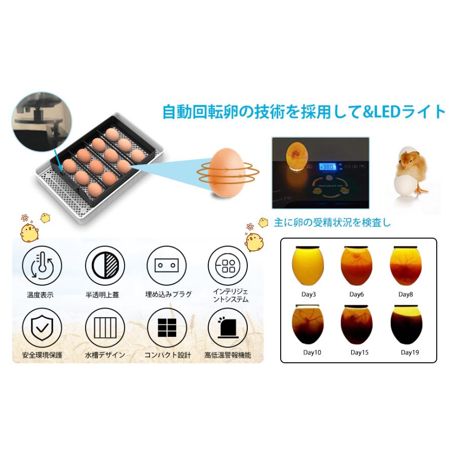 自動孵卵器 インキュベーター 恒温器 鳥類専用ふ卵器 12個入卵 温湿度