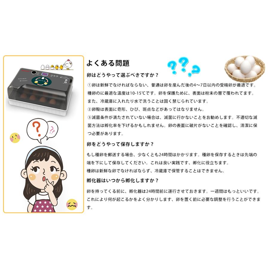 自動孵卵器 インキュベーター 恒温器 鳥類専用ふ卵器 12個入卵 温湿度