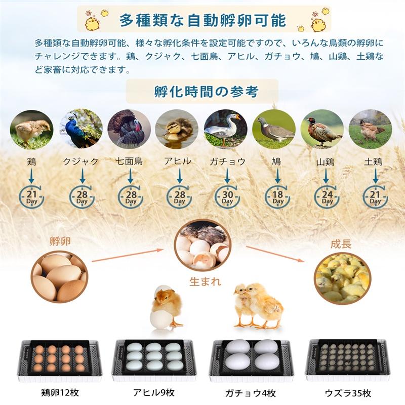 自動孵卵器 インキュベーター 恒温器 鳥類専用ふ卵器 12個入卵 自動孵卵器 インキュベーター 恒温器 鳥類専用ふ卵器 12個入卵