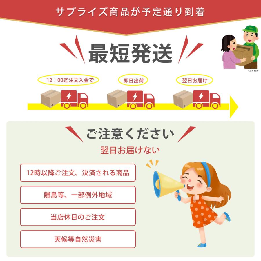 真空専用袋付き】真空パック機 真空パック器 家庭用 脱気シーラー