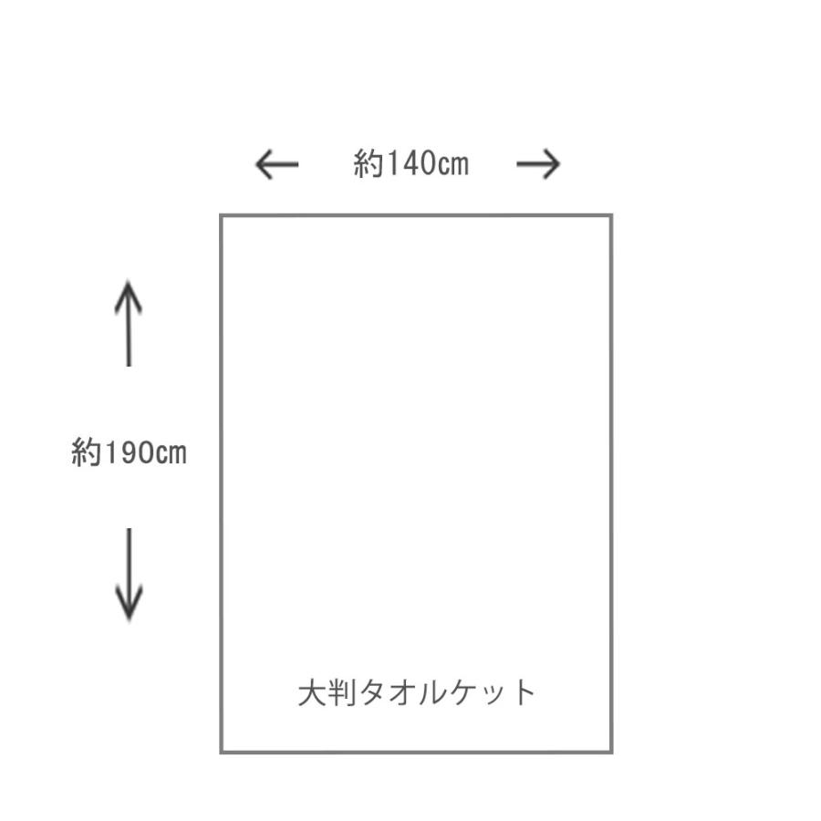 今治タオル（imabari towel） 大判タオルケット 190×140cm コットン100